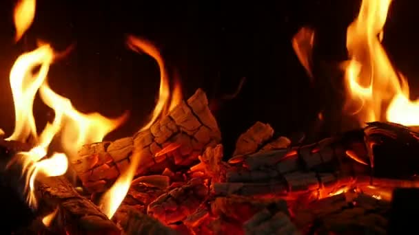 Tanzende Flammengabeln Verwandeln Holzstämme Graue Asche Einem Kamin Wunderbare Nahaufnahme — Stockvideo