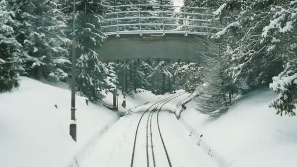 Elevador Esqui Movimento Tatras Poloneses Com Floresta Inverno Maravilhosa Câmera — Vídeo de Stock