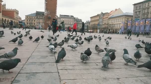 Cracóvia Polônia Dezembro 2018Vista Impressionante Garoto Hilariante Correndo Uma Praça — Vídeo de Stock