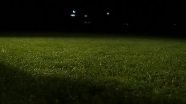 若いフットボール選手がスローモーションで緑の草原にサッカーのドリブルのキエフ ウクライナ 2018 Closeup — ストック動画