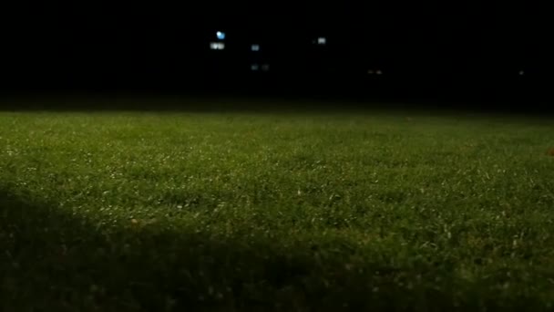 stock video Kiev, Ukraine - October 22, 2018:Closeup of young football athlete dribbling a football on a green meadow in slow motion