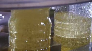 Altın yağ ayçiçek yağı üreten bitki üzerinde şeffaf şişelerde çarpıcı görünümü sarı petrol plastik dökme sıçramasına çekimde konveyör devam şişe  