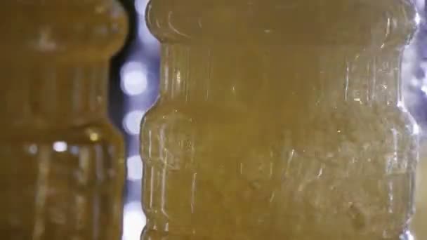 サンフラワー オイル Prodicing 工場搬送ラインを行くペットボトルにストリーミング黄色の油の顕著な表示にシースルーの比喩的なボトルの充填 — ストック動画