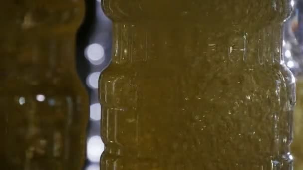 スローモーション スローモーションでコンベア上のプラスチック製のボトルにストリーミングする黄金色のオイルの芸術家気取りの表示の所で透明なプラスチックびんに注ぐひまわり油 — ストック動画