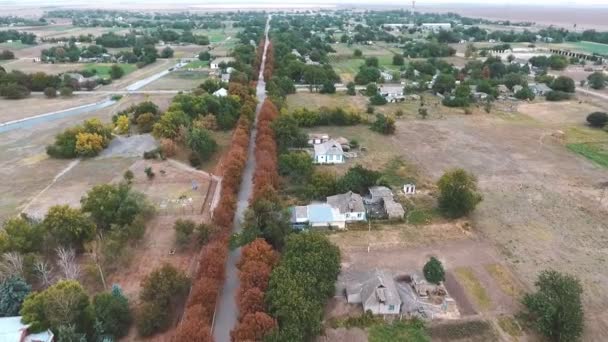 Luchtfoto Van Een Rechte Weg Loopt Een Nederzetting Oekraïne Zomer — Stockvideo