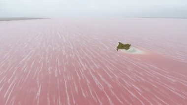 Küçük bir kare adacık yaz Arty görünümünü pembe Siwash gölde rosy köpüklü bir raf ile beyaz raf ile minyon bir adacık havadan çekim Siwash gerçeküstücülük gibi yaz aylarında seyir Kherson bölgede sular