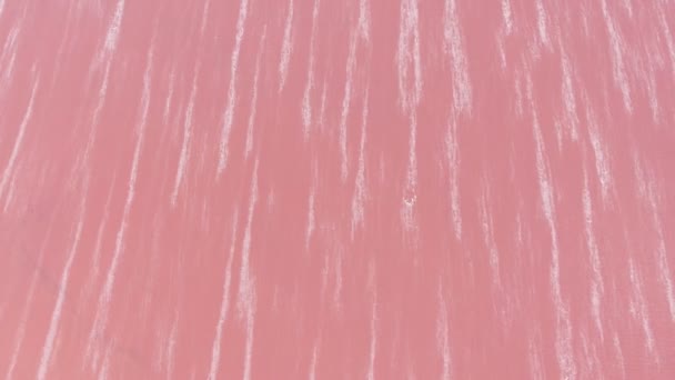 Aerial Shot Pink Siwash Lake Waters Spumy Stripes Ukraine Enigmatic — Stock Video