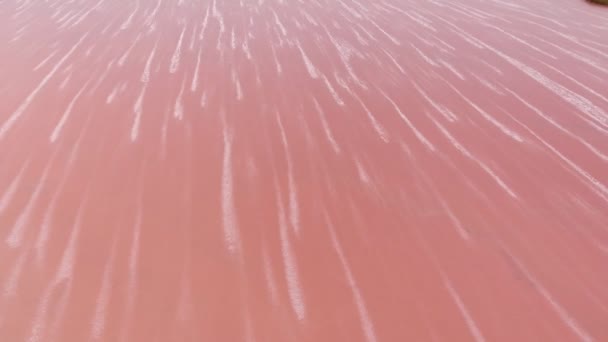 バラ色 Siwash 湖水とバラ色の水と夏にヘルソン地域の白い龍に似た白い泡沫縞 Siwash 湖のウクライナ Fairylike 鳥の目のビューで泡沫状のストライプの空中ショット — ストック動画