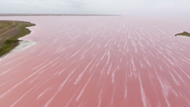 バラ色 Siwash 湖海とピンク水と夏にヘルソン地域でそれを覆う白い泡沫縞 Siwash 湖のウクライナ豪華な鳥の目のビューで波線銀行の空中ショットは 空が光青 — ストック動画