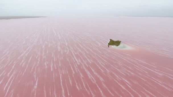 Luftaufnahme Einer Zierlichen Insel Mit Weißem Regal Rosafarbenen Siwash See — Stockvideo