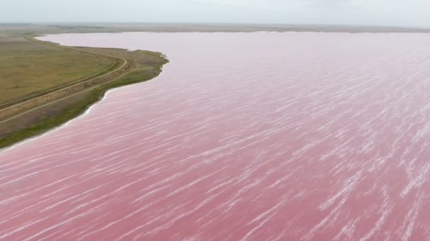 ピンク Siwash 湖海とピンク水と夏にヘルソン地域でそれをカバーする泡沫ホワイトストライプス Siwash 湖のウクライナ顕著な鳥の目のビューでカービィー銀行の空中ショットは 空は明るいバイオレットです — ストック動画