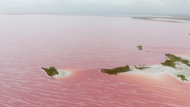 Vue aérienne du lac Siwash avec des eaux roses et de nombreux petits îlots en été Vue magnifique sur le lac Siwash avec des eaux roses, des lignes blanches pulpeuses, le ciel céleste et beaucoup d'îlots dans la région de Kherson en Ukraine en été 