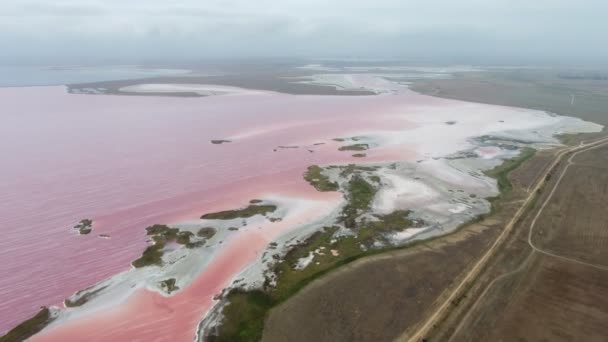 Luchtfoto Van Het Siwash Meer Met Roze Golven Veel Kleine — Stockvideo