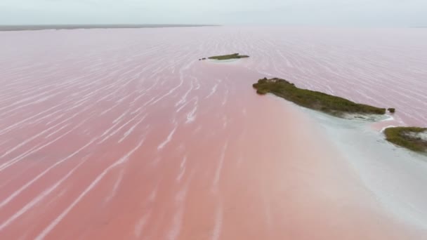 在西沃什湖的玫瑰水中拍摄到三个弯曲的小岛 这是在乌克兰 在乌克兰 在西路湖的玫瑰色和蓝色的水域里 三个小岛的鸟图 — 图库视频影像