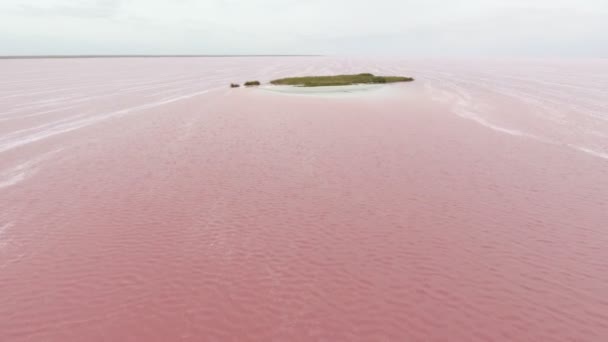 Siwash Gölü Pembe Mavi Sularda Kherson Bölgesinde Yaz Aylarında Köpüklü — Stok video