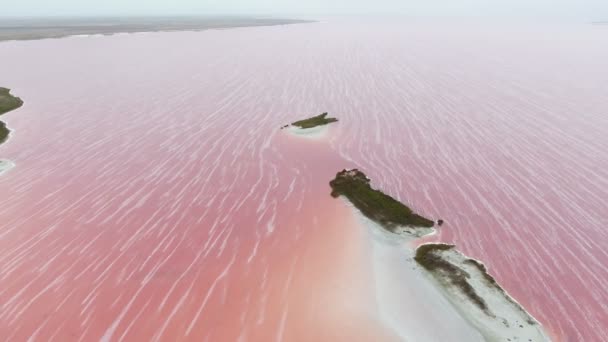 Colpo Aereo Tre Piccole Isolette Nelle Acque Rosa Del Lago — Video Stock