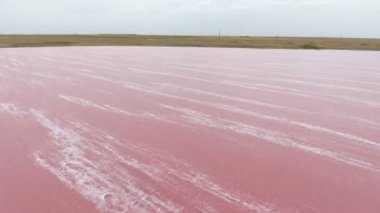 Hava atış pembe Siwash göl suları ve Ukrayna esrarengiz kuş bakışı pembe suları ve yaz aylarında Kherson bölgede kapsayan beyaz köpüklü çizgiler ile Siwash Gölü nün yeşil bir bankada. Gökyüzü ışıktır mavi