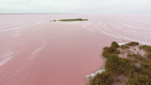 Luchtfoto Van Een Eilandje Rozig Witte Wateren Van Siwash Meer — Stockvideo