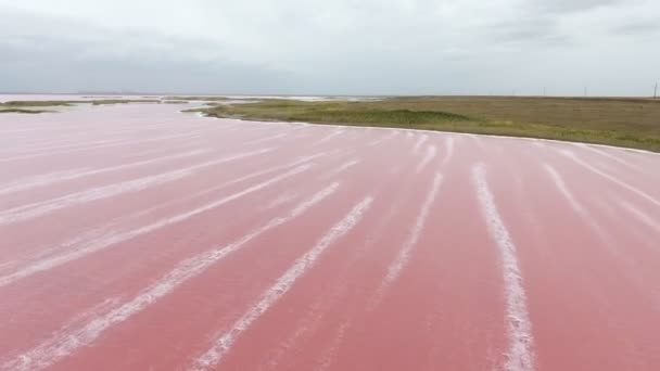 在乌克兰 在乌克兰 玫瑰色的西沃什湖水域和绿色海岸线的空中拍摄华丽的鸟图与粉红色的水域和白色泡沫条纹覆盖在它在赫森地区在夏天 天空是青瓷的 — 图库视频影像