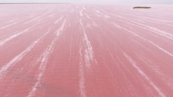 Striped Rosy Waters Siwash Lake Small Islet Ukraine Summer Fairytale — Stock Video