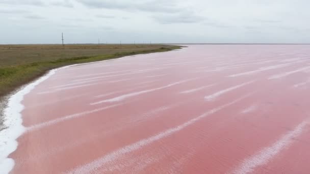 Foto Aérea Del Lago Siwash Con Olas Rosadas Región Kherson — Vídeos de Stock