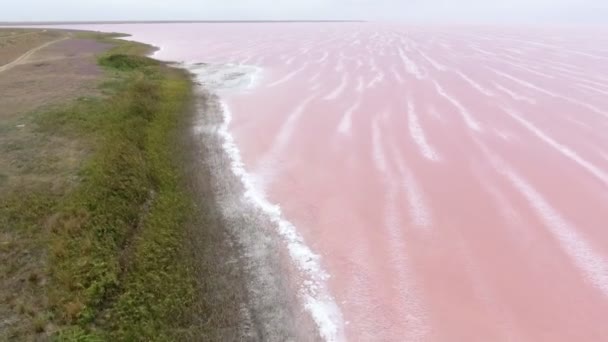Foto Aérea Del Lago Siwash Con Aguas Rosadas Región Kherson — Vídeo de stock