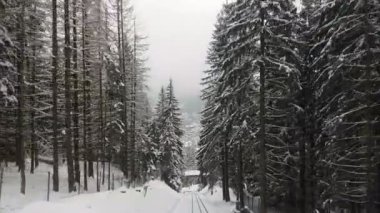 Güzel çam yüksek çam ağaçlarının Fairylike görünümü raylar ayakta ve bir hareketli tren kabin Tatras kışın acele gelen pırıltı köpüklü kar ile kaplı Dağları'nda tren pencerelerden karlı dal ile ekranlarda