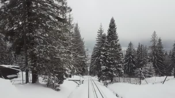 Záhadné stromy blikání s zasněženými větvemi z oken vlaku v horách pohádky zobrazení vysokých borovic pokryté sněhem stojící podél zábradlí a náramek z pohyblivé kabině vlaku jít v Nízké Tatry v zimě