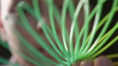 Unclenching plastik gökkuşağı yavaş hareket bir çok renkli plastik gökkuşağı şekliyle esnek bir bahar yavaş çekimde gibi değişen tahrik edici ile oynayan neşeli bir çocuk makro çekim mutlu çocuksu yüzü olan sinsi.