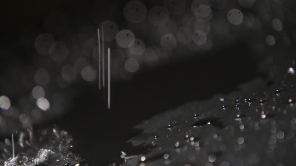 Краплі Дощової Води Покривають Темну Поверхню Плямистими Тінями Повільному Русі — стокове відео