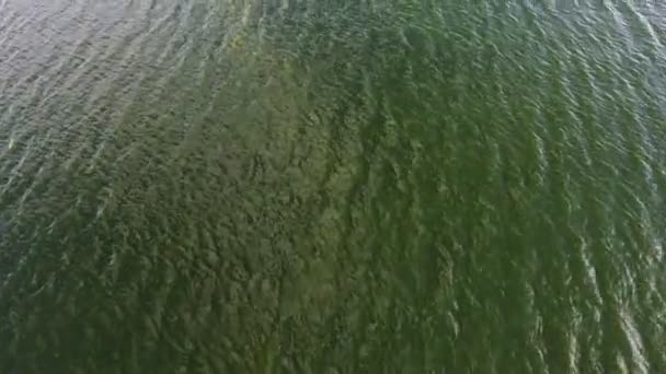 Foto Aérea Aguas Verdes Oscuras Ondulantes Del Río Dnipro Verano — Vídeo de stock