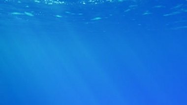 Sanki diğer tarafı görülebilen ışık mavi su ile Mısır'daki Kızıl Deniz parlayan bir yüzey ile Kızıldeniz temiz ve kristal celeste deniz suları Mısır etkileyici görünümünde parlak bir yüzey. Sanat konusunda hava atan zemin gibi görünüyor.