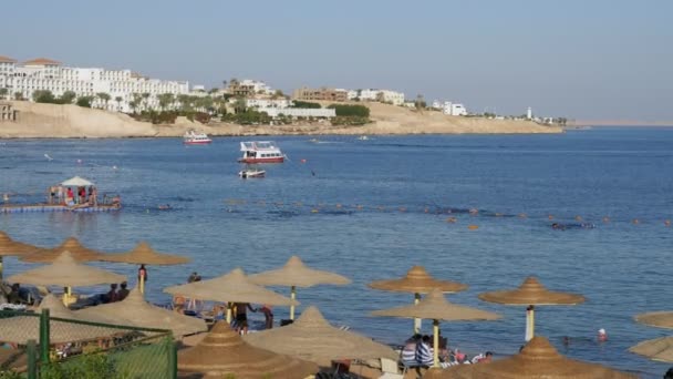 Sharm Sheikh Egipto Octubre 2018 Vista Alegre Una Playa Exótica — Vídeo de stock
