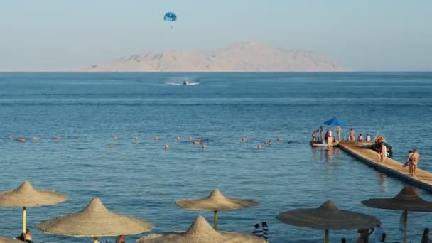 Sharm Sheikh Egitto Ottobre24 2018 Meravigliosa Vista Una Costa Tropicale — Video Stock