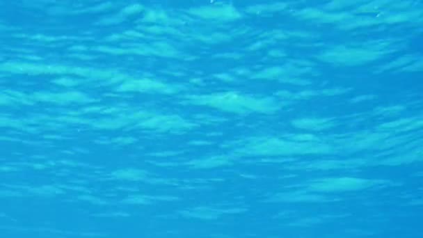 素晴らしい海の表面の海表面のエジプト芸術の背景の光の輝きを面白いと水中での撮影ショット水中での遊ぶ表面 青い海と輝くエジプトの紅海で日当たりの良いビームの輝き — ストック動画