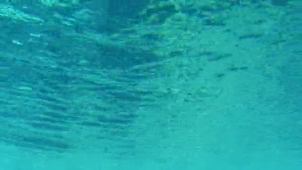 エジプト絵の海表面の背景に太陽の光を輝かせて水中撮影対照的な海面撮影水中でのコントラスト面 青い海 エジプトの紅海でいくつかの暗い影 — ストック動画