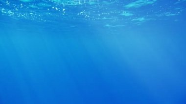 Sisli deniz yüzeyi sualtı slo-mo sanatsal deniz yüzey arka plan çekimde karşıtlığı ve güneşli mavi suları ve Red Sea'deki/daki güneşli ışınlarının neşeli parıldıyor ile sualtı vurdu karşıtlığı ve güneşli yerlerde ile vurdu