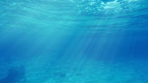 Gorgeous Sea Surface Shot Underwater Contrasted Foggy Places Slo Splendid — Stock Video