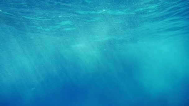 壮烈な海表面の水中でのショットとは対照的し スローモーションの芸術家気取りの海でぼやけて場所表面スローモーションでぼやけと対照的な青い海と紅海の日当たりの良い光線の遊び心のある輝く水中撮影の背景 — ストック動画