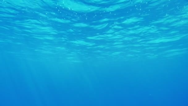 Prachtige Zee Oppervlakte Doodgeschoten Onderwater Met Speelse Sparkles Van Stralen — Stockvideo