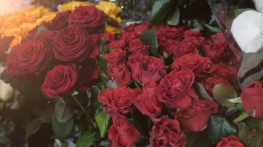Romantik Kırmızı ve turuncu karanfil birlikte bir kova kırmızı, pembe ve turuncu karanfil birlikte güzel bir butik kovaya yerleştirilen bir butik harika portre görünümünde yer. İlham verici ve güzel görünüyorlar.