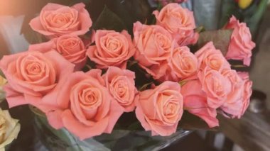 Güzel pembe Gül birlikte yerleştirilir ve yumuşak ve romantik bir kova içinde bir araya taze pembe Gül butik muhteşem görünümünde arıyorsunuz ve onun İyileştir ile ilham verici kokusu ve güzellik içinde bir butik ihale