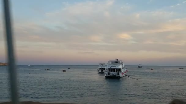 シャルム シェイク エジプト October24 2018 エジプトの美しいスカイラインと港でシャルム シェイクに移動家族の外出のためのプレジャー ボートの印象的なビュー — ストック動画