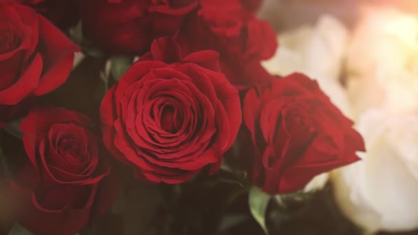 Roses rouges avec de beaux pétales et des taches de rosée belle dans un kiosque Romantique vue rapprochée de roses rouges avec des pétales fragiles, arôme délicat et tiges épineuses mis dans un seau dans une boutique. Elles sont magnifiques. ,
