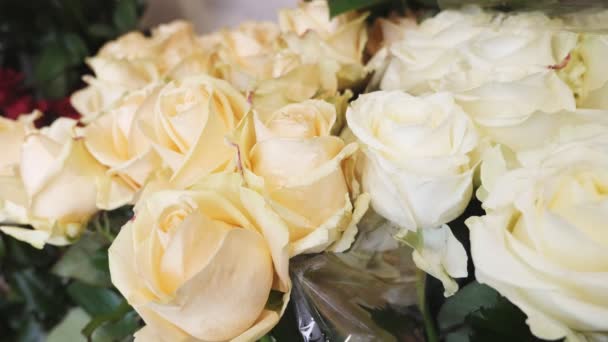 Bílé růže s křehkými plátky a trnitými stonky, vypadáte dobře v kiosku ohromující detailním pohledu bílých růží s nabídek lístků, jemná vůně a trnitými stonky do kbelíku v butiku. Překrásní.