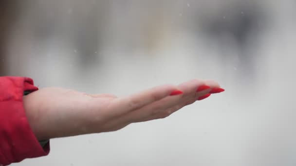 Mano Femenina Con Maquillaje Que Captura Copos Nieve Aire Libre — Vídeos de Stock