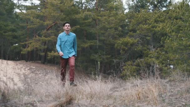 Fröhlich Sportlich Brünett Mann Wandern Einem Hügeligen Tannenwald Frühling Zeitlupe — Stockvideo