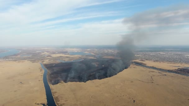 在春天 在两个蓝天的运河之间的第聂伯河岸边 Dnipro 流入的甘蔗和芦苇湿地上 用野火袭击了海沟沼泽 — 图库视频影像