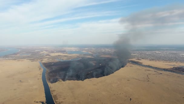 春の青空と つの運河間ドニプロ川の河岸の喫煙ファイアウォールと杖と葦の湿地の見事なビュー ドニプロ流入で野火に襲われた菅沼地の空中ショット — ストック動画