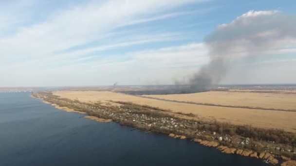 Повітряний Постріл Березі Річки Дніпро Flaming Тростини Плями Сонячний День — стокове відео